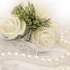 ELITE WEDDING PACKAGES