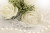 Elite Wedding Packages